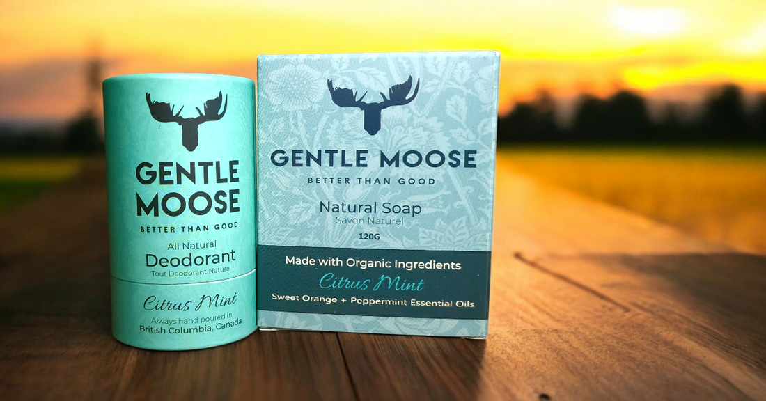 Gentle Moose Natural Skin care on The Pitfalls Fragrance Oils in Natural Body Care made in Canada