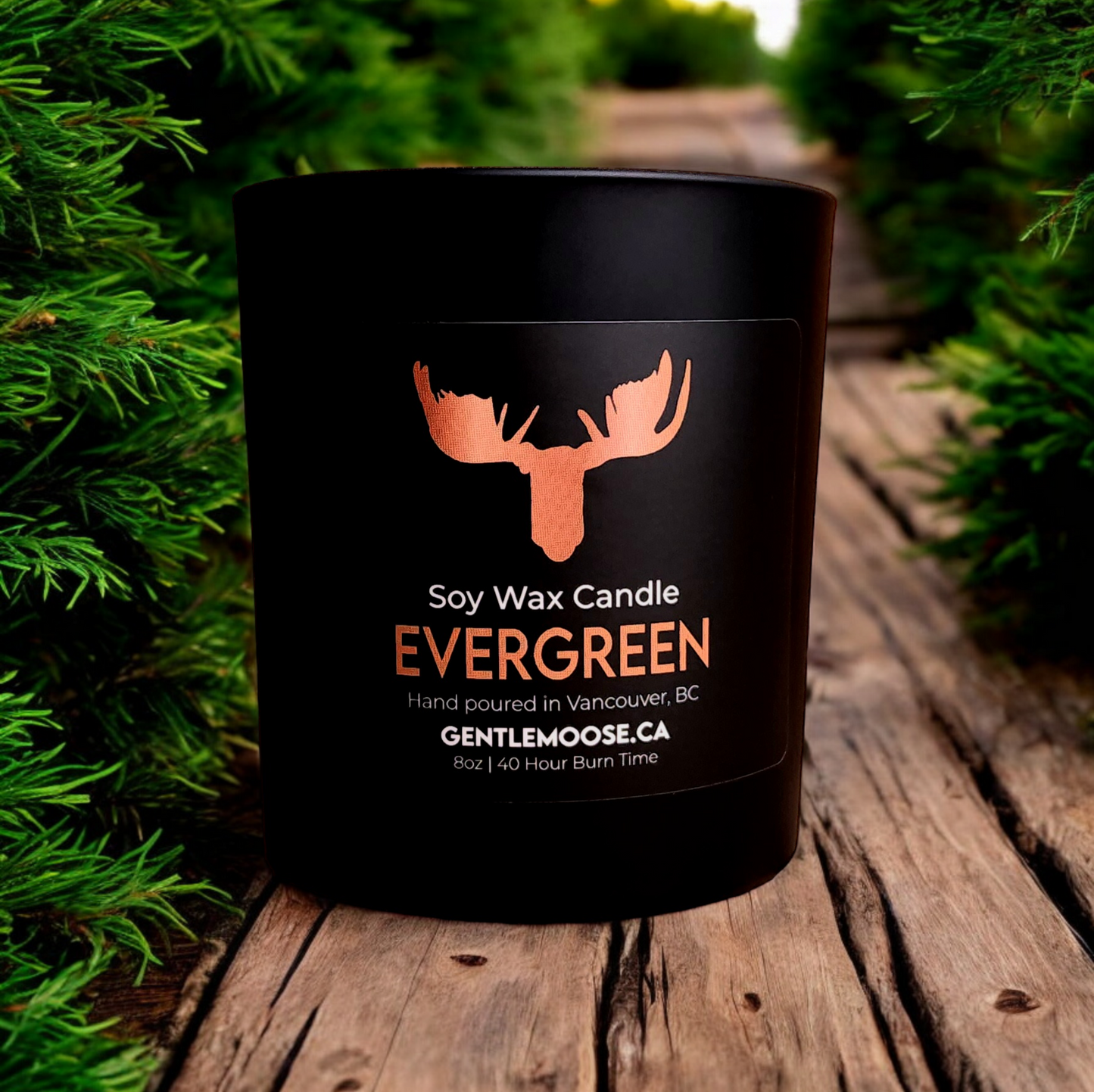 Soy Wax Candle Evergreen