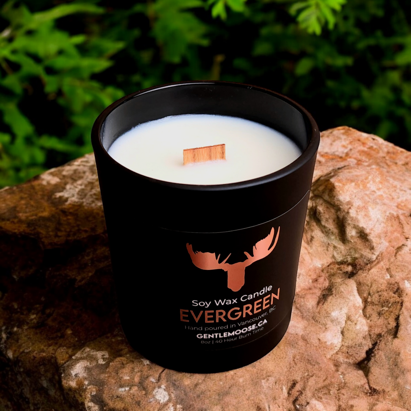 Soy Wax Candle Evergreen